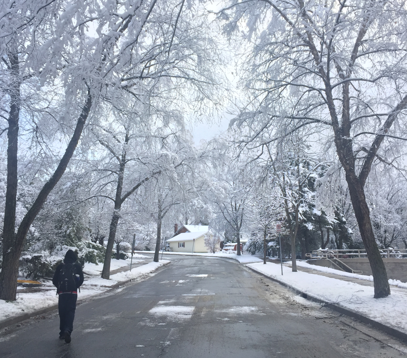 Pasted image 20260208081102.png